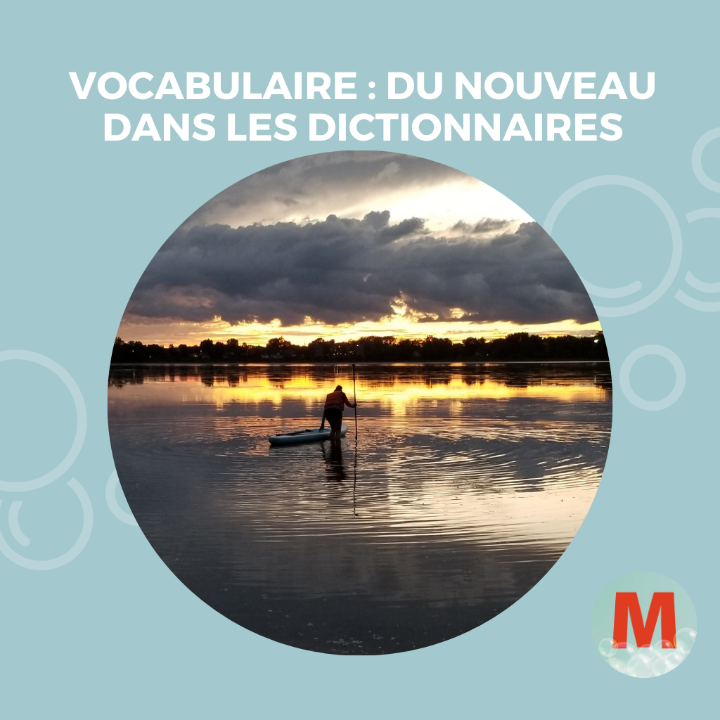 Vocabulaire dictionnaire pagaie